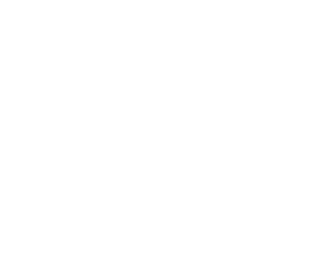 Schleifwerk 21 GmbH